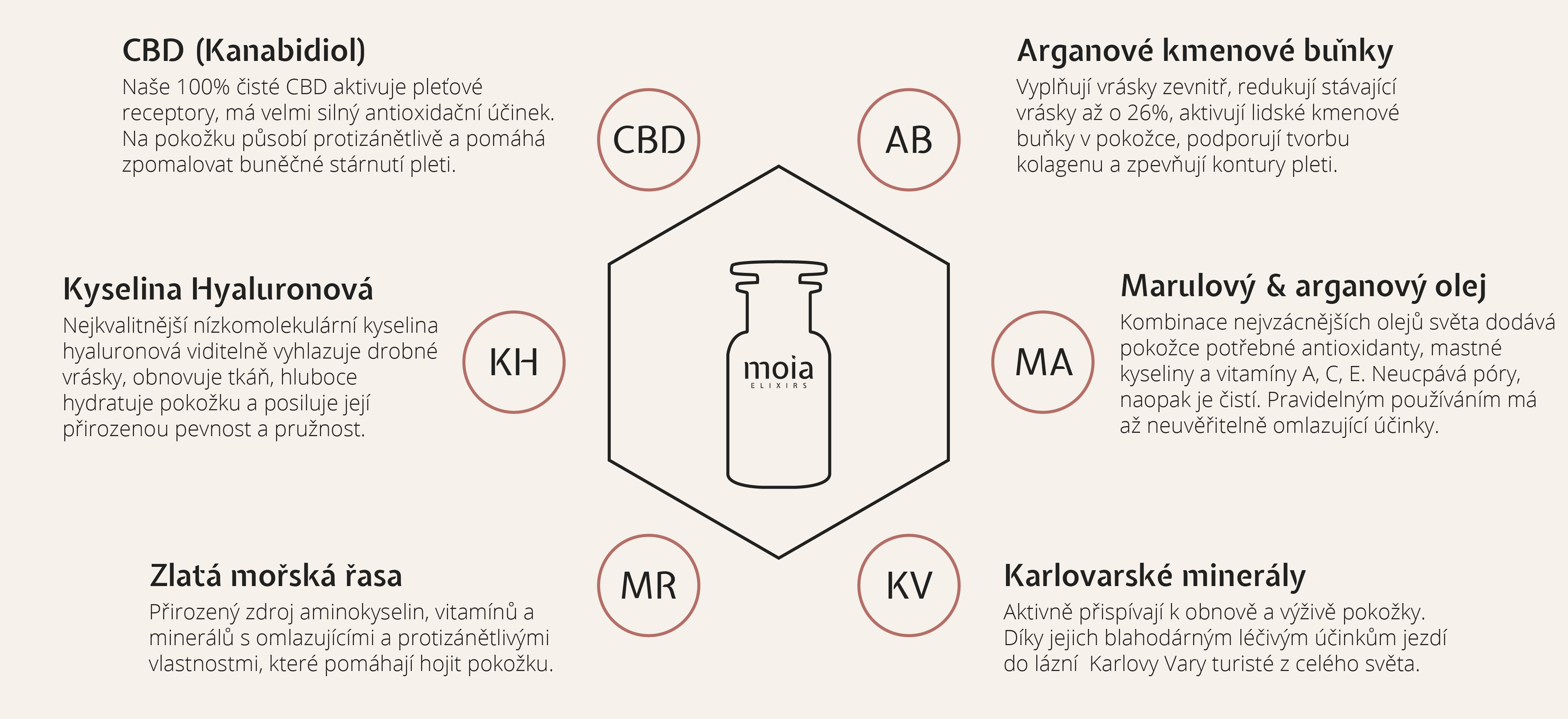 infogra cz-19